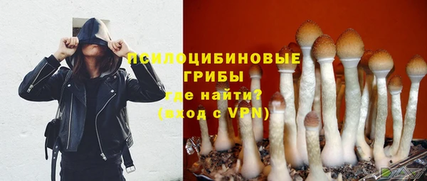 молекула духа Балахна
