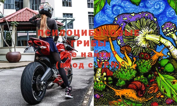 молекула духа Балахна