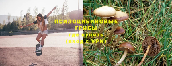 молекула духа Балахна