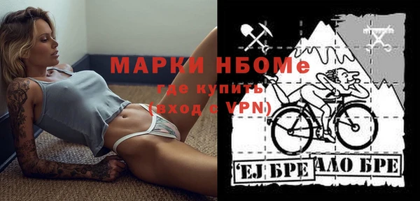 молекула духа Балахна