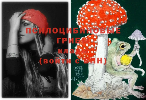 ECSTASY Балабаново