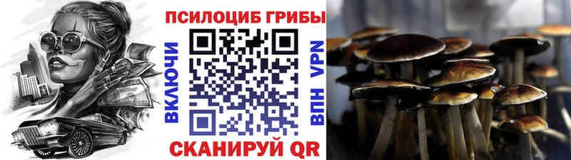 Псилоцибиновые грибы мухоморы Краснокаменск