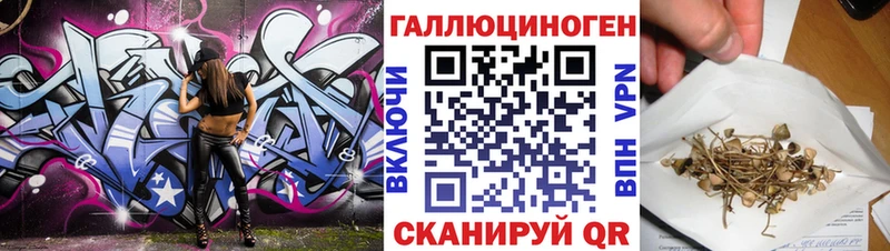 Галлюциногенные грибы Psilocybe  купить   Краснокаменск 