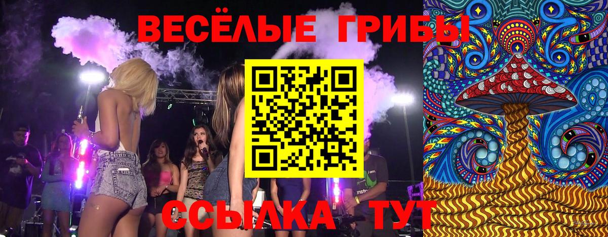 Краснокаменск  Галлюциногенные грибы Psilocybine cubensis  цена   Вход с VPN 